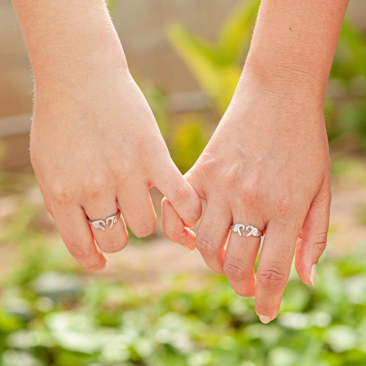 Anillo Amor Eterno (San Valentin)